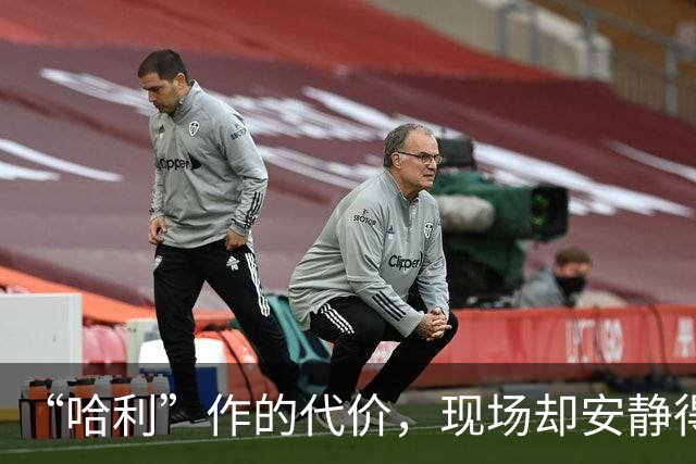 “哈利”作的代价，现场却安静得让人意外