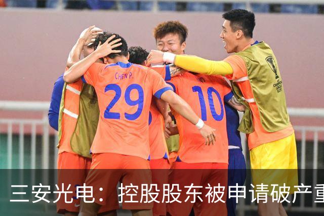 三安光电：控股股东被申请破产重整