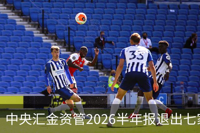 中央汇金资管2026半年报退出七家券商前十大股东名单！