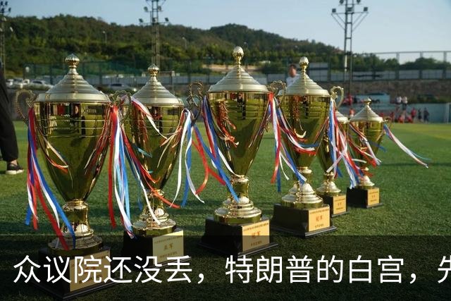 众议院还没丢，特朗普的白宫，先乱成了一锅粥