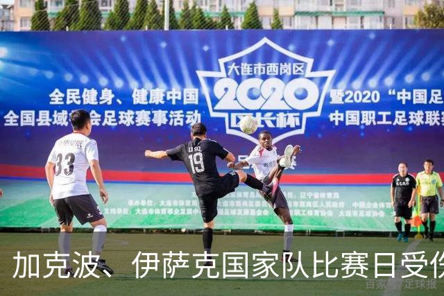 加克波、伊萨克国家队比赛日受伤，利物浦盼间歇期后复出