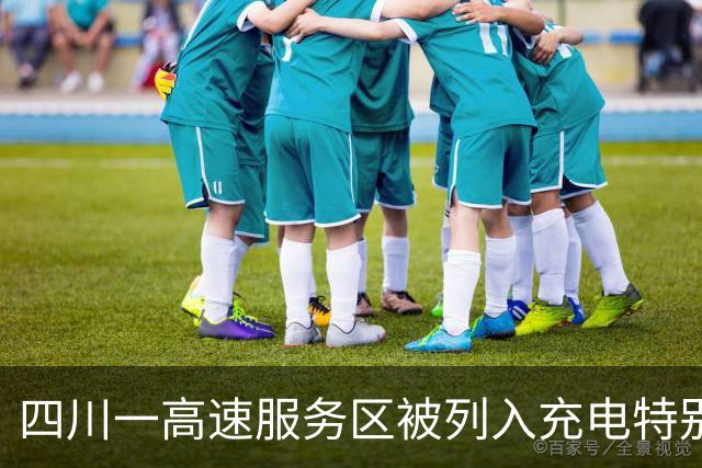 四川一高速服务区被列入充电特别繁忙清单 客服：最多排到130号 交通部称可通过“e路畅通”查询