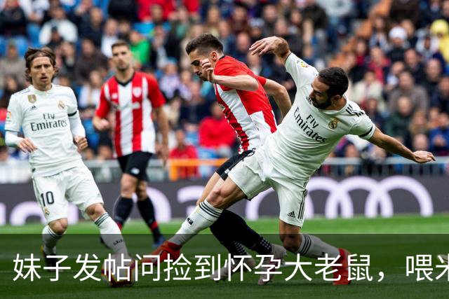 妹子发帖问捡到怀孕大老鼠，喂米饭也不吃咋办？德文气哭：你全家都是老鼠！