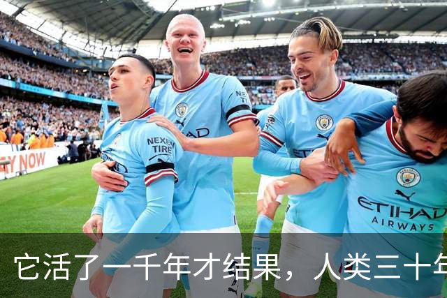 它活了一千年才结果，人类三十年砍光，消失的秘密至今无人能解