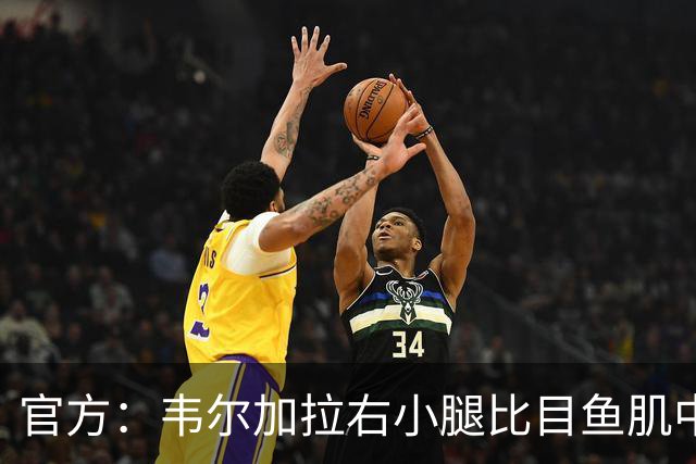 官方：韦尔加拉右小腿比目鱼肌中度拉伤；据悉至少休战15天