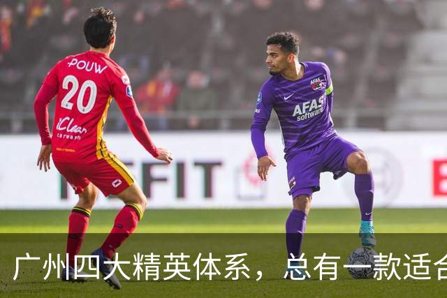 广州四大精英体系，总有一款适合你