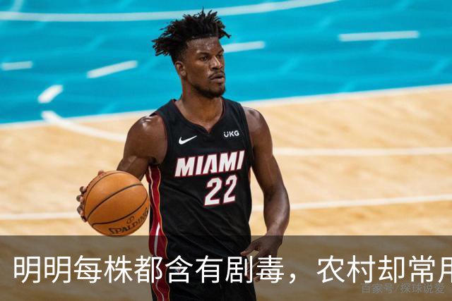 明明每株都含有剧毒，农村却常用来做腌菜，如今为何消失不见？