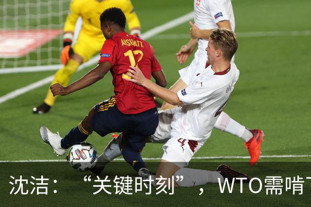 沈洁：“关键时刻”，WTO需啃下改革的“硬骨头”