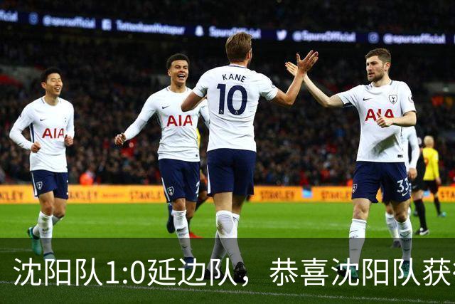 沈阳队1:0延边队，恭喜沈阳队获得“东北超”季军