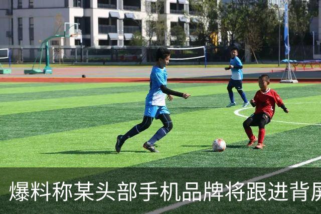 爆料称某头部手机品牌将跟进背屏手机，已进入工程机阶段