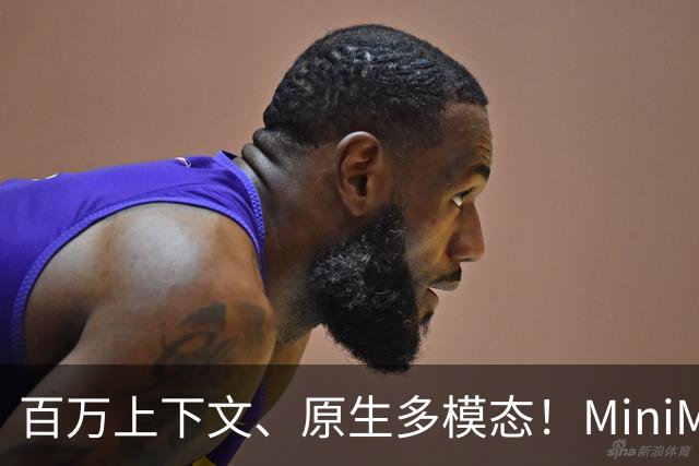 百万上下文、原生多模态！MiniMax新模型公测，疑似“太空兔”本尊