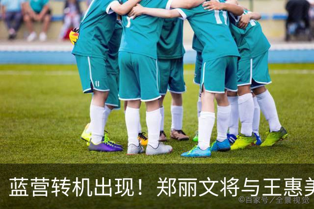 蓝营转机出现！郑丽文将与王惠美会见，拼尽全力翻盘锁定2028大局
