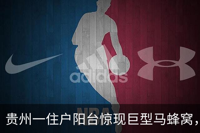 贵州一住户阳台惊现巨型马蜂窝，长超一米、形似巨型陀螺