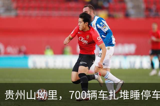 贵州山坳里，700辆车扎堆睡停车场，盖被子吹山风比开空调还爽