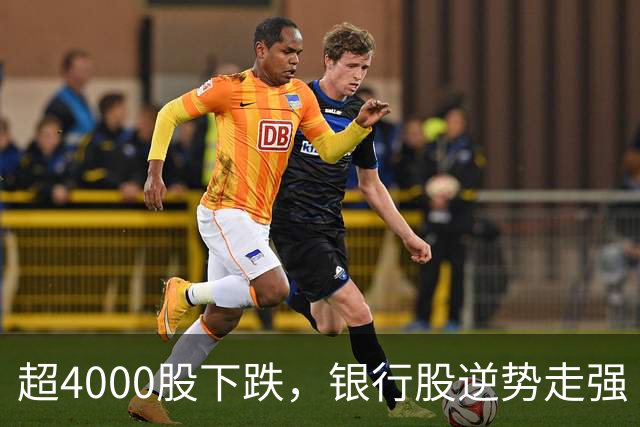 超4000股下跌，银行股逆势走强