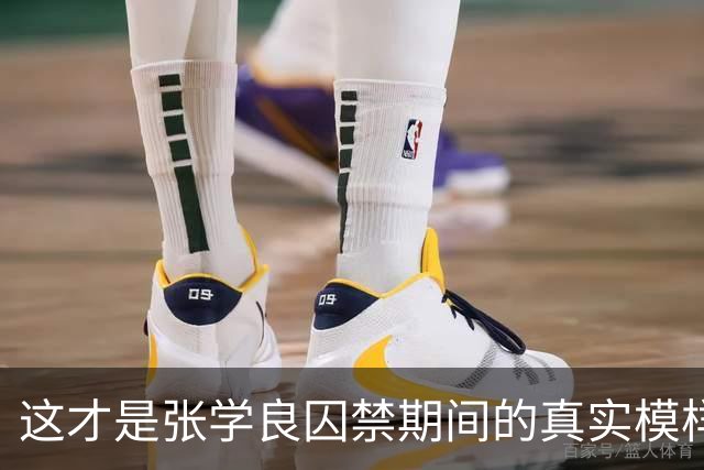 这才是张学良囚禁期间的真实模样，摄于台湾，面容憔悴瘦削脱相！
