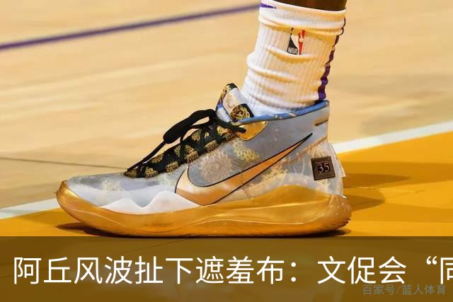 阿丘风波扯下遮羞布：文促会“同名不同命”，到底谁在乱来？