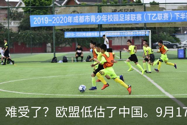 难受了？欧盟低估了中国。9月17日，据英国金融时报消息，欧盟已经正式宣布要求中国自愿限制混合动力车的出口