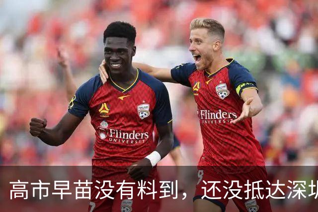 高市早苗没有料到，还没抵达深圳参加APEC，最大靠山先卷入丑闻