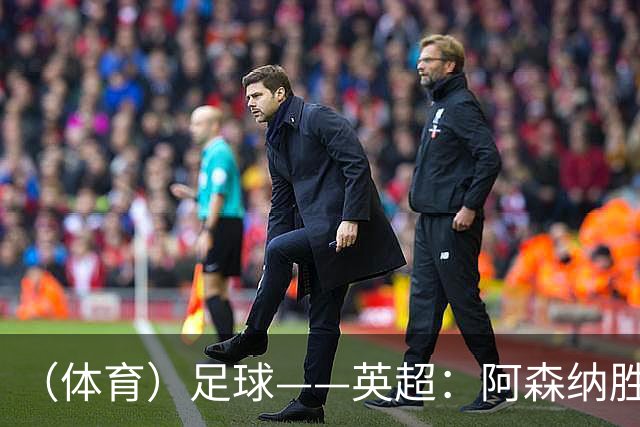 （体育）足球——英超：阿森纳胜利兹联