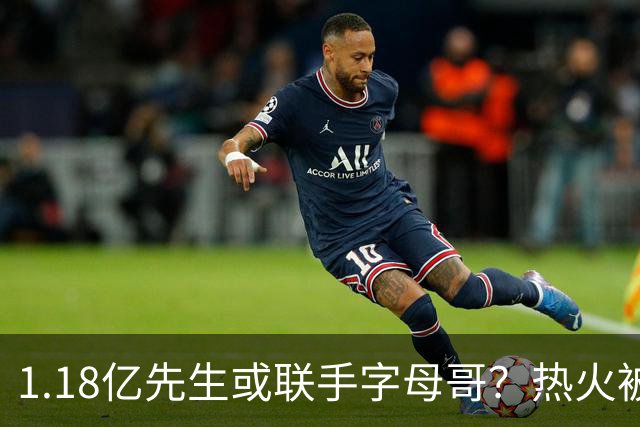 1.18亿先生或联手字母哥？热火被点名成欧文潜在下家