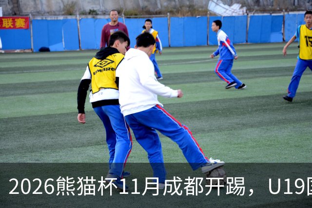 2026熊猫杯11月成都开踢，U19国青过招亚洲3强，冲刺U20亚洲杯