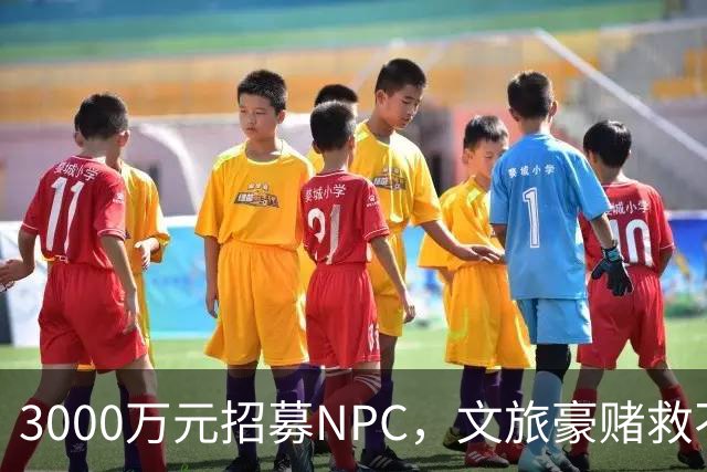 3000万元招募NPC，文旅豪赌救不了景区